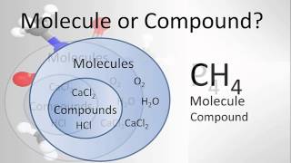 Molecule vs Compound Examples and Practice [upl. by Tiphanie402]