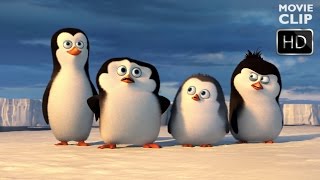 Penguins of Madagascar  Antarctica Clip  DreamWorks Animation HD [upl. by Gitlow]