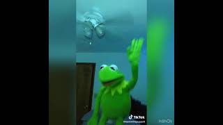 Funny Kermit the frog videos of 2020 Part 8 [upl. by Amees]