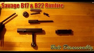 Savage B17 amp B22 Bolt Disassembly amp Reassembly [upl. by Hairaza]