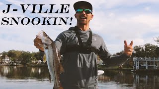 JVILLE SNOOKIN TARPON AND SNOOK FISHING JACKSONVILLE FLORIDA ST JOHNS RIVER 2020 [upl. by Dammahom]