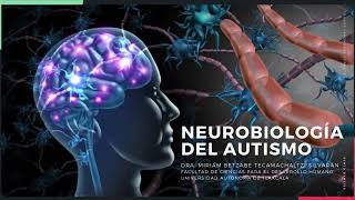 NEUROBIOLOGÍA DEL AUTISMO INTRODUCCIÓN [upl. by Kola942]