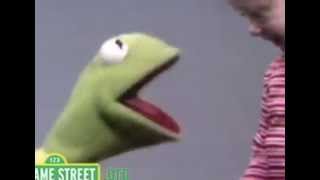 Kermit The Frog  Funny Compilation [upl. by Remoh]