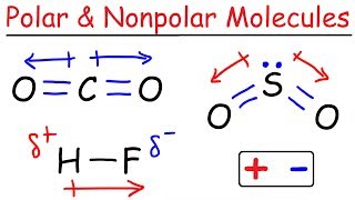 Polar and Nonpolar Molecules [upl. by Kristoffer]