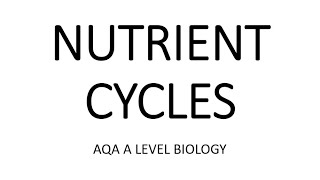 NUTRIENT CYCLES  AQA A LEVEL BIOLOGY  EXAM QUESTIONS RUN THROUGH [upl. by Igor654]