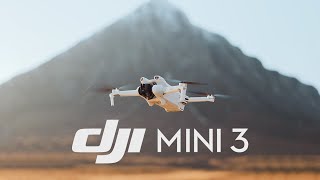 Meet DJI Mini 3 [upl. by Ahserkal]