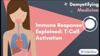 Immune Response Explained TCell Activation [upl. by Constance]