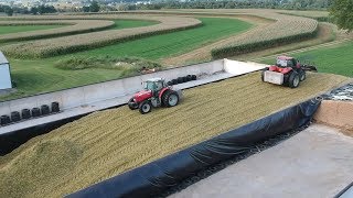 Corn Silage Harvest Begins  Filling the Big Bunk [upl. by Iblok]