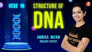 Structure of Chromosome  Structure Of DNA  ICSE Class 10 Biology  Cell Cycle and Cell Division [upl. by Almena]