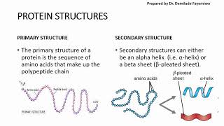 Chapter 23 Biological Molecules  Proteins [upl. by Yesnyl]