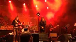 Rachid Taha  Ya Rayah  Live in Vienna 2014 [upl. by Stillman]