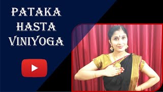 PATAKA HASTA VINIYOGA SLOKA WITH MEANING  USES OF PATAKA HASTA  ASAMYUKTA HASTA VINIYOGA [upl. by Enialb]