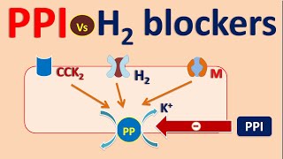 Proton pump inhibitors PPI vs H2 blockers [upl. by Almire]