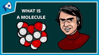 What Is a Molecule [upl. by Akinom]