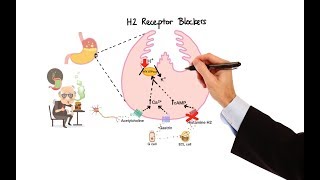 Pharmacology  ANTIHISTAMINES MADE EASY [upl. by Bausch]