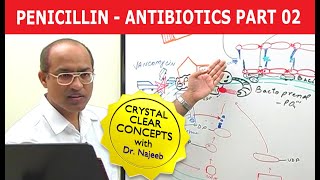 Penicillin  Antibiotics  Dr Najeeb  Part 24 [upl. by Airt]