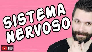 SISTEMA NERVOSO  FISIOLOGIA  Aula  Biologia com Samuel Cunha [upl. by Erasme703]