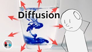 Diffusion How Molecules Actually Move [upl. by Nytsirc]