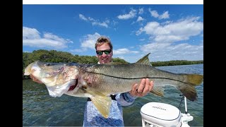 Giant Snook and Redfish Fishing  Epic Tampa Bay INSHORE FISHING [upl. by Eatnohs]