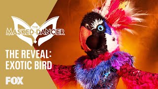 The Exotic Bird Is Revealed  Season 1 Ep 6  THE MASKED DANCER [upl. by Zenobia374]