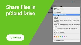 How to share large files from pCloud Drive [upl. by Elata]