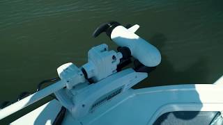 Watch this before BUYING a trolling motor  Comparison [upl. by Sevik312]