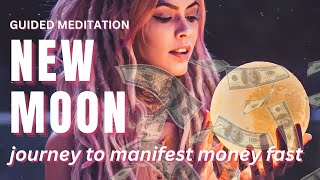 NEW MOON Meditation JANUARY 2025  Reiki to Clear Financial Blocks Attract amp Manifest Money FAST [upl. by Garrek]