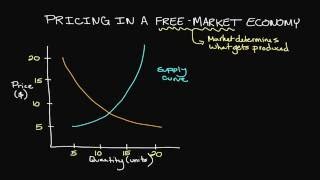 Pricing in a FreeMarket Economy [upl. by Duffy]