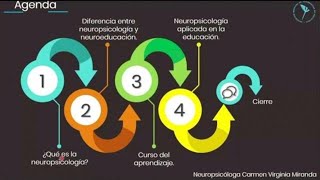 Neuropsicología y Educación [upl. by Frasco534]