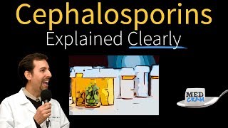 Cephalosporins  Antibiotics Explained Clearly [upl. by Rainger]