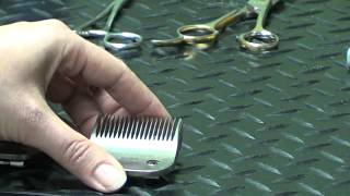 Pet Grooming Hand Tools for the DoItYourself Dog Groomer [upl. by Ynavoj565]