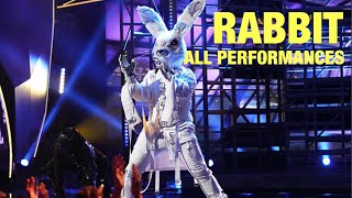 Rabbit All Performances amp Reveal Masked Singer [upl. by Glassman]