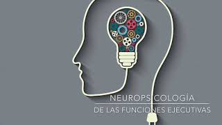 Neuropsicología de las funciones ejecutivas [upl. by Diane769]