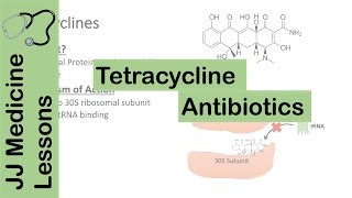 Tetracycline Antibiotics [upl. by Letha141]