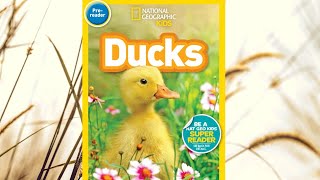 national geographic for kids Ducks [upl. by Alby]