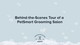 Behind the Scenes at PetSmart Grooming Salons [upl. by Atiuqad]