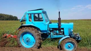 Belarus MTZ80 ploughing with Kverneland 3 furrow plow 2016 [upl. by Annahpos]