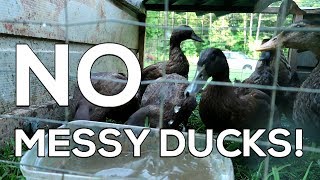 quotNo Messy Ducksquot  How to Raise CLEAN Ducks [upl. by Plerre972]