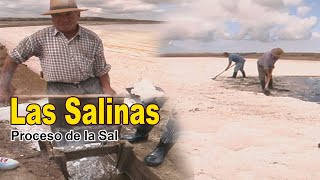 SAL DE MAR que es una salina y como funciona [upl. by Ahtanamas]