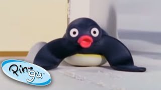 Pingas Lost Rabbit  Pingu Official  Cartoons for Kids [upl. by Llednar]