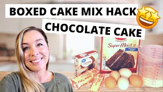 Pudding Cake Recipe  Cake Mix Hack [upl. by Dorahs]