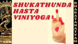 SHUKATHUNDA hasta viniyoga  Bharatanatyam [upl. by Nur]