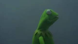 Evil Kermit meme video [upl. by Vere]