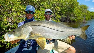 MASSIVE Topwater Snook Fishing [upl. by Constantia]