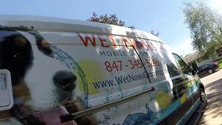 Wetnoses Mobile Grooming Van Walk Through [upl. by Lseil]