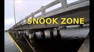 How To Catch Snook Around Bridges Where and When to Fish [upl. by Nosahc945]