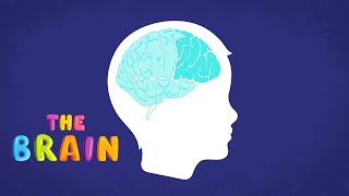 Brain Basics All about anxiety for kids Part 2  Your brain [upl. by Laure731]