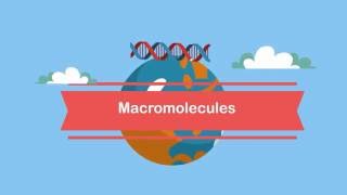 MacromoleculesA Beginners Guide [upl. by Jereme]