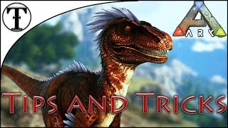 Fast Raptor Taming Guide  Ark  Survival Evolved Tips and Tricks [upl. by Adnoval]