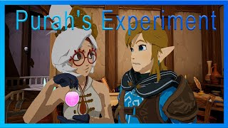 Purahs Experiment Zelda fan animation [upl. by Binnings]